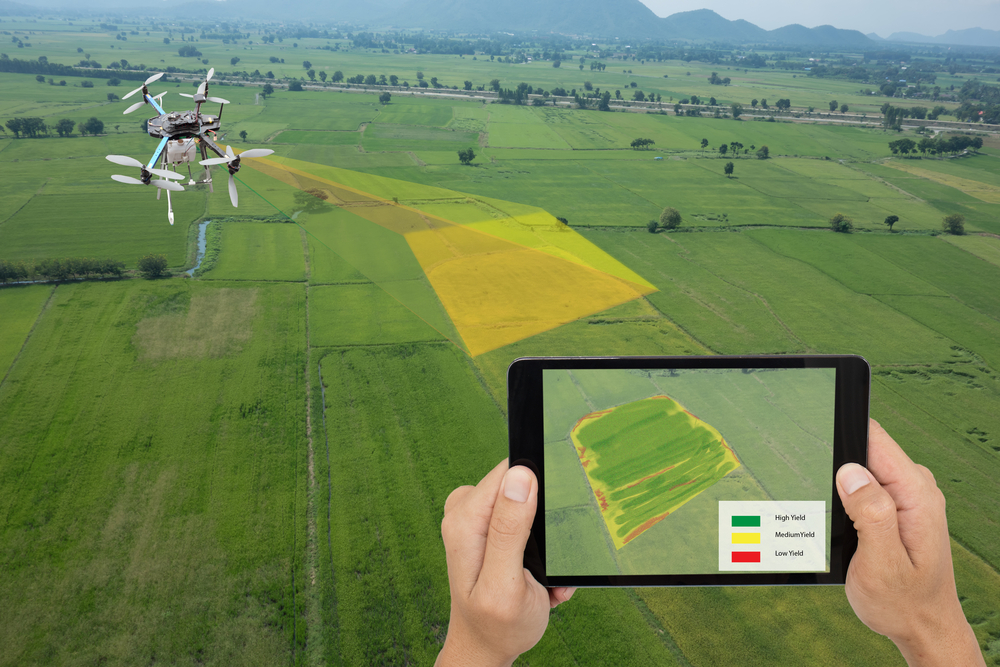 Precision agriculture: 5 best advantages for different cultures
